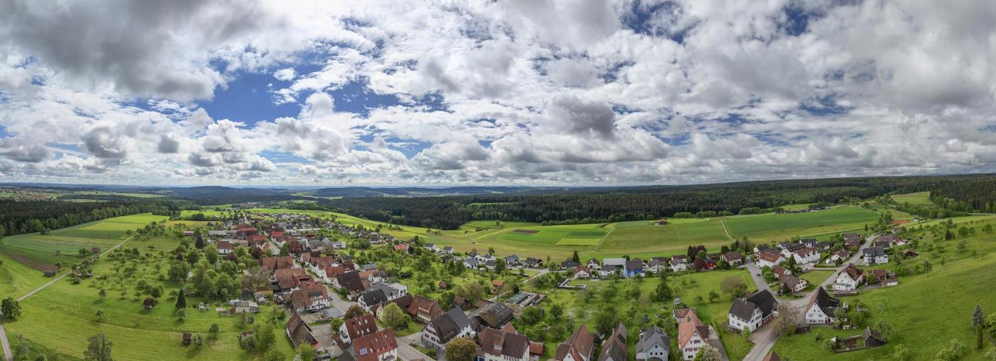 Alter Hirsch Hotel Pfalzgrafenweiler Kültér fotó
